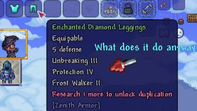 This Terraria mod, but why.