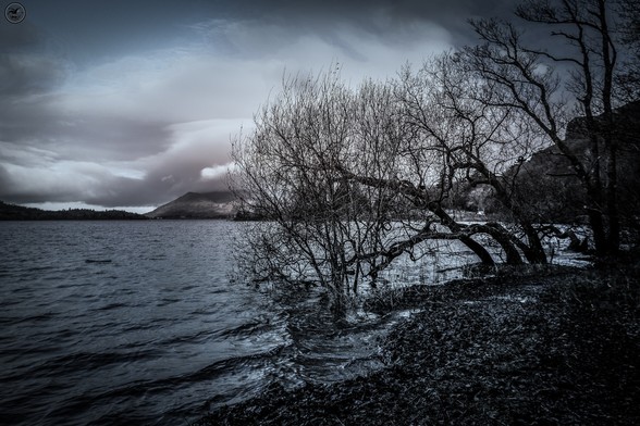 Monochrome shot over lake waters with mountains in background and cloudy skies above. Pebble beach and shoreline in foreground with tree silhouettes in righthand frame