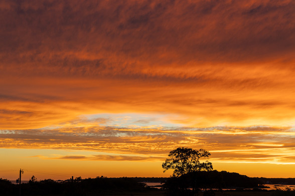 A colorful sunset sky, rich gold close to the horizon, darkening to deep orange at the top, with patches of brilliant blue sky showing in breaks in the clouds. Nearby woods show black against the sky, and a nearby tree is seen in silhouette. Patches of water visible in the lower part of the image reflect the orange color of the sky overhead.