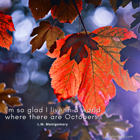 A brilliant red autumn leaf among other leaves, lit from behind so you can see all the veins, which still retain a bit of green. Over this are the words, "I'm so glad I live in a world where there are Octobers." L.M. Montgomery