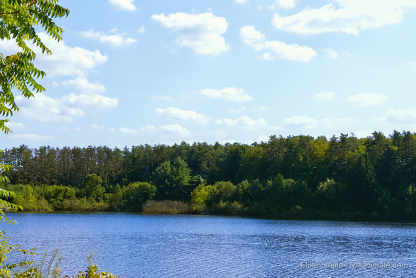 A small corner of the Wachusett Reservoir beneath a blue sky filled with small clouds and surrounded by fir trees and bushes.