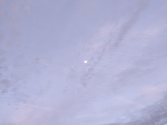 Photograph of almost full moon against light purple cloudy morning sky at 7.20am.