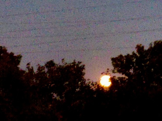 La Luna está saliendo por el este, está muy baja, y se ve aparecer entre árboles. 

En la parte inferior de la foto vemos la silueta de una serie de árboles, en una zona más baja de estas siluetas asoma la luna.

En la parte superior tenemos el cielo azul más bien oscuro, cruzado por varias líneas eléctricas.

Debido a la escasez de luz la foto tiene bastante grano.