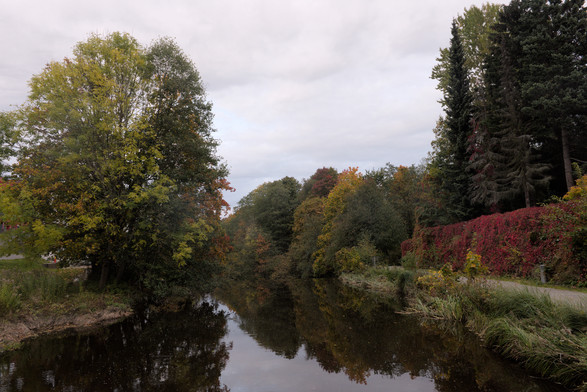 Image of a flat river with reflections yellow and green leaved trees on the left and a gravel walkway on the right and a red leaved hedged on the right hand side.