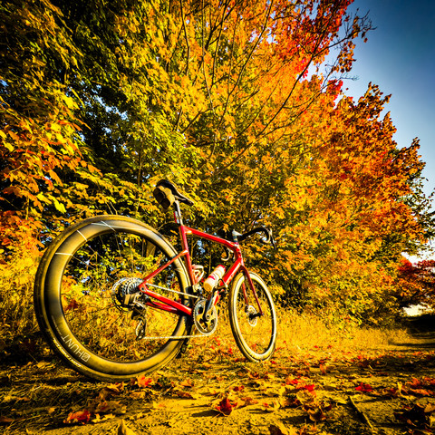 photo of a red BMC roadmachine road bike standing on a dirt trail. next to the trail is a tree line that is showing wonderful autumn colors. the leaves are green, yellow, orange and red. there are scattered leaves lying on the trail around the bike as well