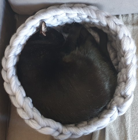 A black cat curled up in a crocheted circular bed, nearly filling it.