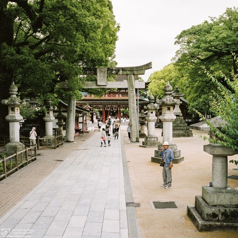 Approaching the Main Gate of Dazaifu Tenmangū Shrine in Fukuoka Prefecture, Japan.