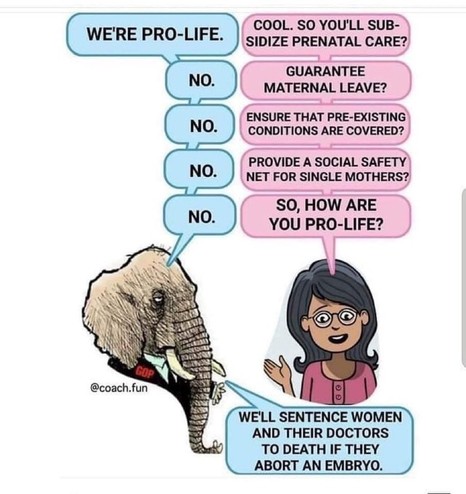 Editorial cartoon showing an anthropomorphized elephant (the GOP) on the left and a woman in glasses on the right. They are having a discussion. 

GOP: We're pro-life.
Woman: Cool So you'll subsidize prenatal care?
GOP: No.
Woman: Guarantee maternal leave?
GOP: No.
Woman: Ensure that pre-existing conditions are covered?
GOP: No.
Woman: Provide a social safety net for single mothers?
GOP: No.
Woman: So, how are you pro-life?
GOP: We'll sentence women and their doctors to death if they abort an embryo.