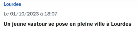 Article : "Un jeune vautour se pose en pleine ville à Lourdes"