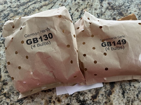 Two brown paper bags of garlic bulbs for planting. The bags have holes to allow for air circulation. The left one says “German Hardy GB130 (4 bulbs),” and the right one says “Transylvania Garlic GB149 (4 bulbs).”