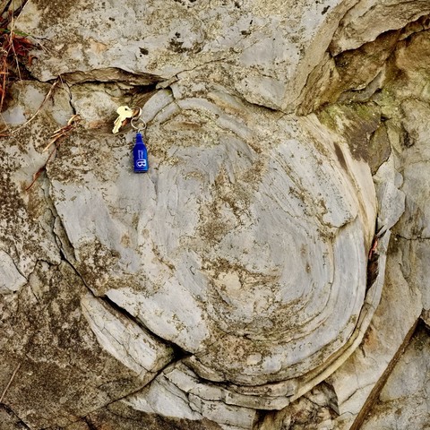 The circular form at the center of this color digital photograph is a bit of rolled up sandstone, with relict layering expressed like the layers of an onion in this exposure.  Blue key ring usb drive and key at top right for scale.