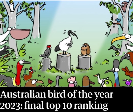 A colourful cartoon of three Aussie birds standing atop podiums. Many other Aussie birds look on. Underneath the caption reads "Australian bird of the year 2023: final top 10 ranking".