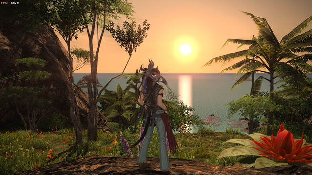 One of my Final Fantasy 14 Miqo'te facing away from the camera, looking at the sun set on an ocean horizon.