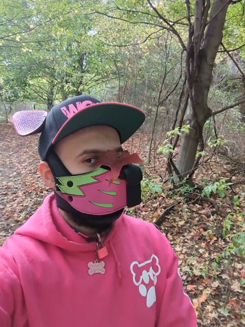 Me wearing pup hood on a trail. A fallen leaf is on my snout and I shake it off