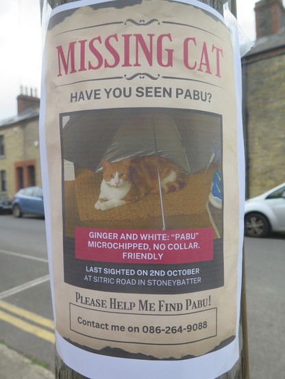 A post for a missing cat. Text reads "Missing cat", "Have you seen Pabu?", "Ginger and white: 'Pabu' ", "Microchipped, no collar, friendly", "Last sighted on 2nd October at Sitric Road in Stoneybatter", "Please help me find Pabu!", & "Contact me on 086-264-9088". There is also a picture on the poster of a a red and ginger cat sitting on a mat.