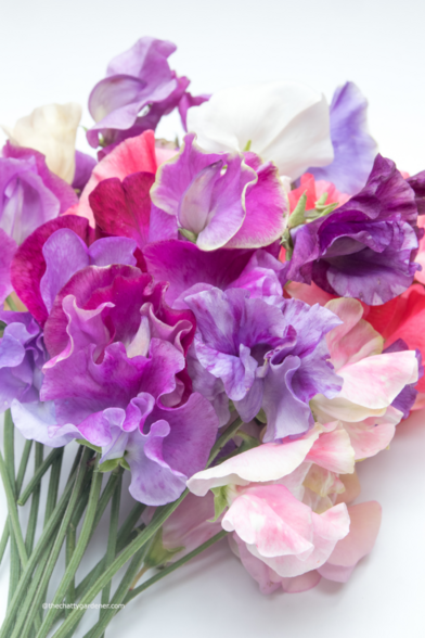 A bunch of sweet peas in a range of colours including white, cream, pale pink, cerise, lilac, and purple.