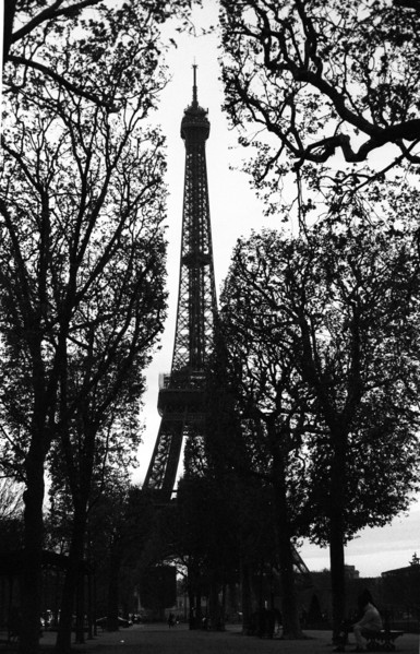 Black and white photography of dark silhouette of Eiffel Tower and trees.