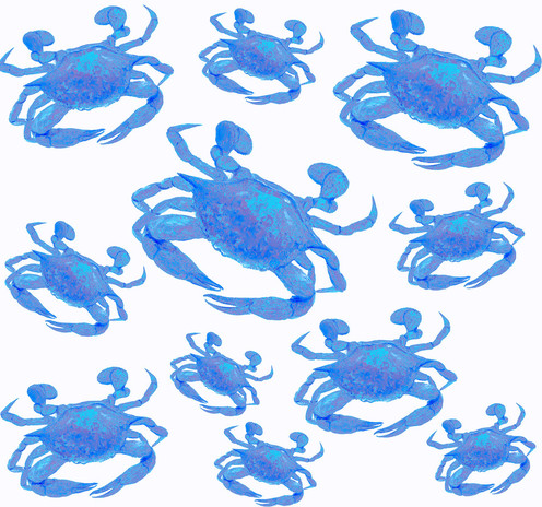 A square oil painting pattern of blue crabs in various sizes, on a white background. They are painted in tones of blue and turquoise.