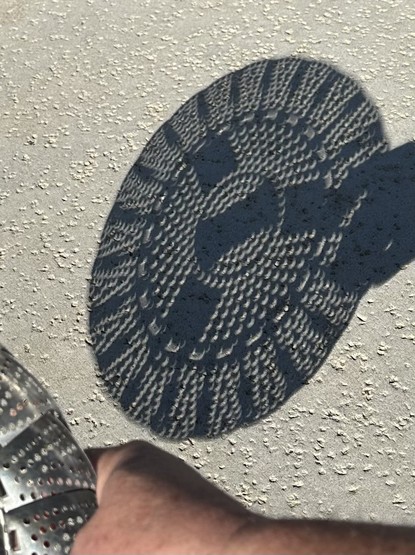 The shadow of a steamer basket is cast on a concrete pad. Each hole in the basket acts as a pinhole camera; an intriguing pattern of mini-eclipse shapes appear where the basket has holes in it. At the bottom of the photo, my arm is visible holding up the stainless steel basket.