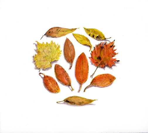 Watercolor painting, square format: a selection of leaves arranged on an almost round formation. Some are long, pointy yellowish leaves. Some are rounder orangey-red-pink leaves from a rhododendron. There's an odd-ball jagged reddish maple leaf and an equally jagged yellowgrape leaf with no stem.