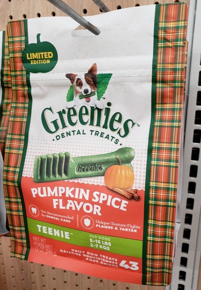 A bag of Greenies brand dog treats in pumpkin spice flavor.
