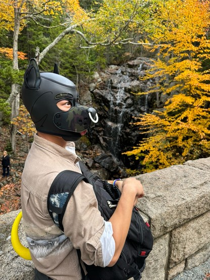A hooded human pup looks intently somewhere into the side. He wears a hunting shirt and a yellow tail. 

The background is a water fall amidst yellow and green foliage.