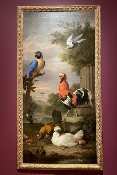 painting in gold frame on maroon wall on display at museum  Asian Silkie Fowls and South American Parrot in an Imaginary Landscape (Primary Title) Elegant Fowl (Former Title)  Jakob Bogdany, Hungarian, active in England, ca. 1660 - 1724 (Artist) Date: ca. 1700-1710 Medium: Oil on canvas Collection: European Art Dimensions: Unframed: 86 1/2 x 45 1/4 in. (Est.) Framed: 86 3/4 x 44 1/4 x 2 1/2 in. Object Number: L2020.6.62 Location: G211C - Saunders Collection: Chinoiserie
