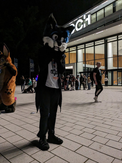 Picture of me in my arctic fox partial, standing in front of the congress center, where Eurofurence took place, at night, while holding my cheeks with both paws. The background shows the illuminated glass front of the building and several furs and suiters in front of it.