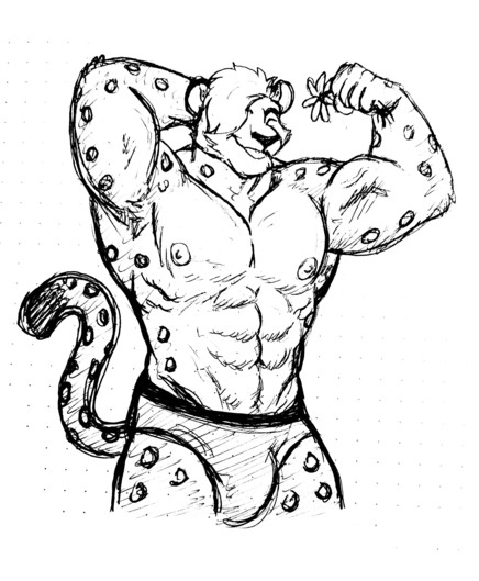 A sketch of a very muscular anthro snow leopard, with one arm over his head and the other arm flexing. He's holding a flower.