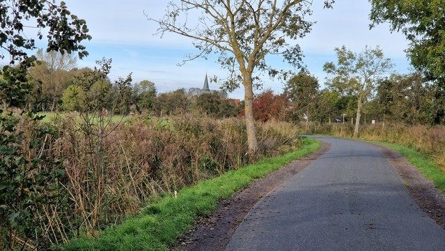 Landschaft in der als ganz kleiner Punkt ein neugieriger aufrecht sitzender Marder ist