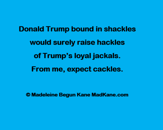 Donald Trump bound in shackles     
would surely raise hackles    
of Trump’s loyal jackals.    
From me, expect cackles.    

© Madeleine Begun Kane MadKane.com