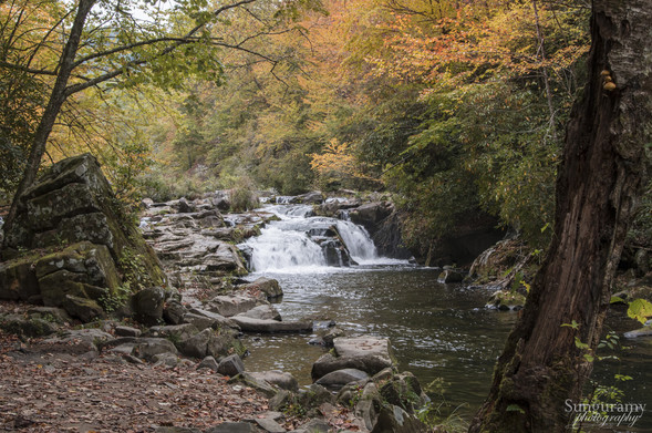 serene autumn scene with colourful leaves and a somewhat long exposure of a waterfall on the river. Large boulders on the left, and smaller ones in the river itself.
