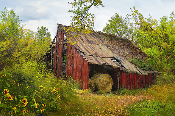 Old red barn, weathered and dilapidated, in Northeast Tennessee.  Image includes warm colors of yellow, green red and brown, and has a textured overlay to enhance the rural setting. From the Fine Art Gallery of Shelia Hunt.