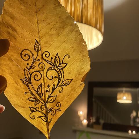 A photo of a yellow beech leaf, held up to some dim moody lighting to better show the vibe & swirl doodles I drew on it.
