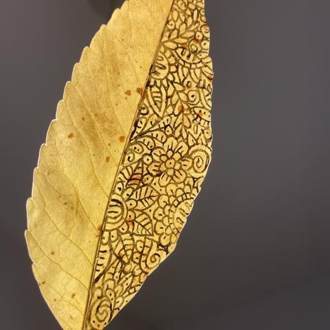 A thin yellow birch leaf, the left side is bare but the right side is covered in swirly little doodles.