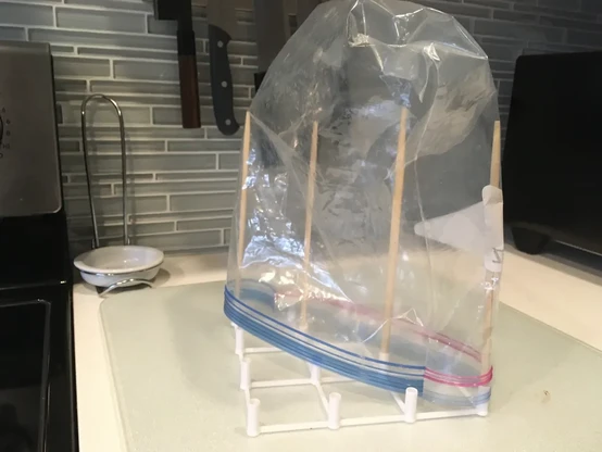 an upside-down ziplock bag on a drying rack made of chopsticks. On a kitchen counter.