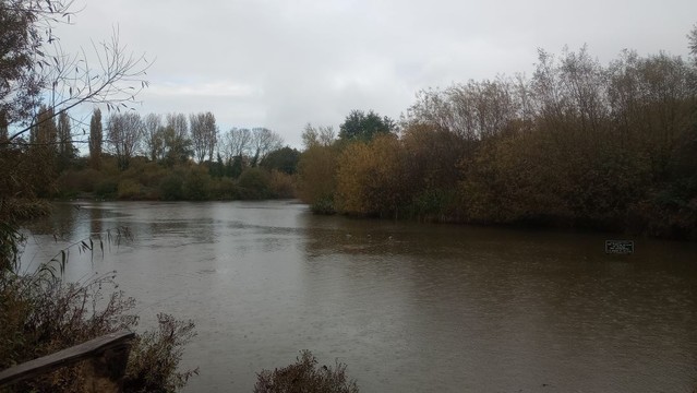 A view of a lake. Its dull grey waters, pockmarked by rain, reflect a dull grey sky except at the farther shore where they're darkened by the impenetrable shadow of a threatening troop of threadbare trees.

Three dispirited mallards float in the middle of the lake while, to the right of them, an offshore signboard reads:

London Borough of Bromley
No fishing or use of boats
No swimming or dogs in water