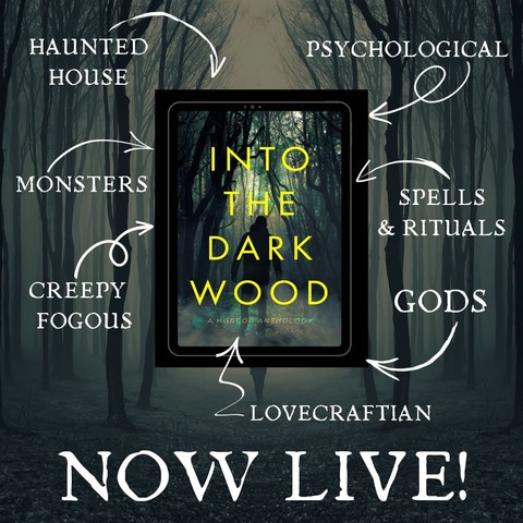 Promo pic featuring the cover of Into the Dark Wood with descriptors including haunted house, psychological, monsters, creepy fogous, spells&rituals, gods, Lovecraftian.