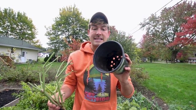 It's Time To Do THIS With Your Pepper Plants!