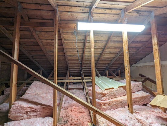 An unfinished attic with fibreglass insulation scattered around and a shop light hanging on the rafter.