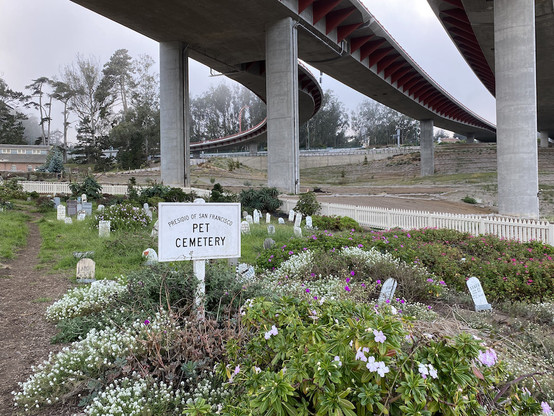 Pet Cemetery in the Presidio