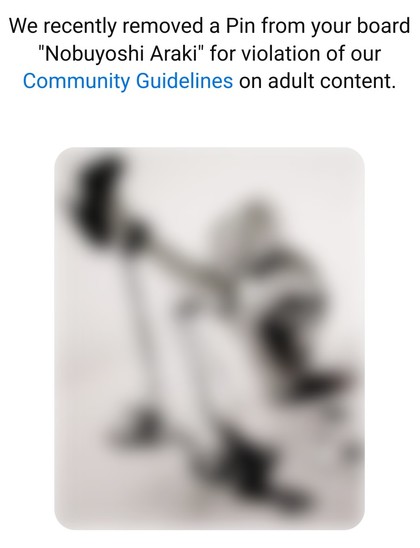 Pinterest removed a picture from a board because it's "adult content".