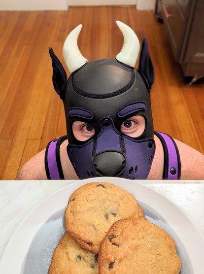 A pic of Crow from above, in pup hood, horns, and harness, he's sitting on the floor looking up expectantly at the camera with cookies right in front of him