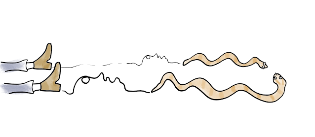Cartoon drawing: A young rattlesnake looks up at an older one. Behind them are identical squiggly paths, leading to two legs of someone in a horizontal position with boots pointing upwards