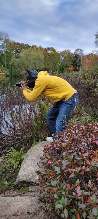 A human dog tries to capture the colorful foliage with a camera