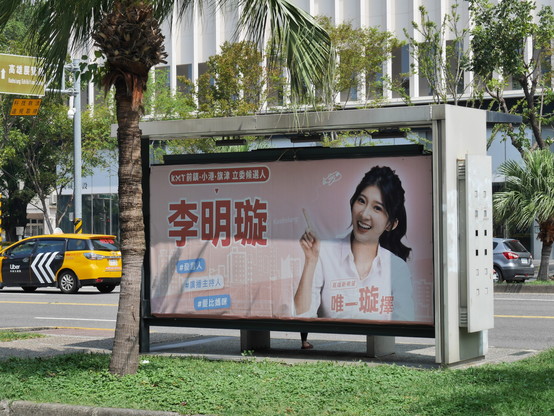 This poster shows the KMT candidate Li Ming-syuan. The poster uses a pink background which is common for female candidates from all parties. She is 30 years old so would be regarded as a youth candidate.
