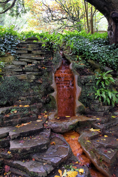 A narrow stream runs down a stone wall and down a series of rocky levels. Leafy vines and ferns grow over and down the stone wall. The branch of the tree hangs over the garden, shading it and making the garden beyond the wall  bright by comparison.
When the stream runs over the wall it is strained a dark red.