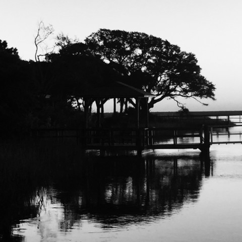 Black and white image of a live oak tree reflecting on the tidal waters of a tidal inlet in Coastal Carolina on the Atlantic seaboard.