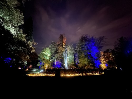 Choir standing in a field in a park at night, under illuminated trees in green and blue