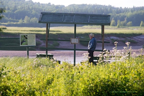 An old man is standing under an eave over a couple of picnic tables next to an empty river.  In the foreground are wild grasses, wildflowers.  The river is red mud.  At the top of the steep bank on the other side is a grassy field and beyond that a forest.